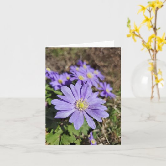 Lila Blume Karte (Gelbe Blume)