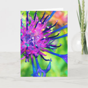 Lila Blume Karte