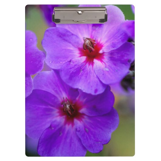 Lila Blume Klemmbrett (Vorderseite)