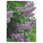 Lila Blume Klemmbrett (Rückseite)