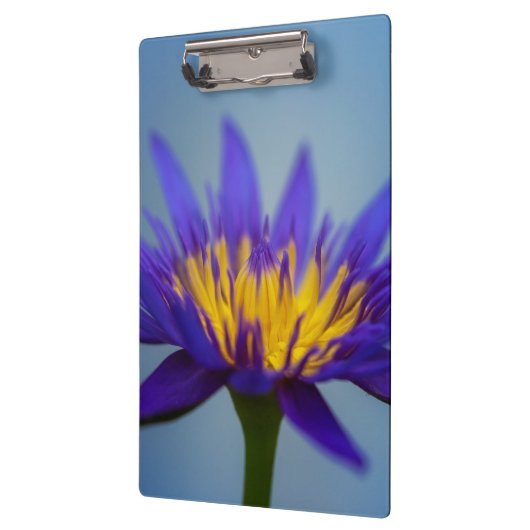 Lila Blume Klemmbrett (Links)