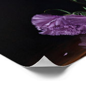 Lila Blume Kunstdruckposter Poster (Ecke)
