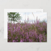 Lila Blume Landscape DIY Postkarte (Vorne/Hinten)