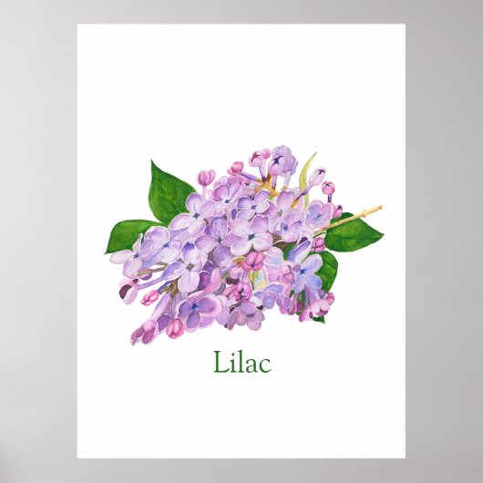 lila Blume lila Aquarellfarbe botanisch Poster (Vorne)
