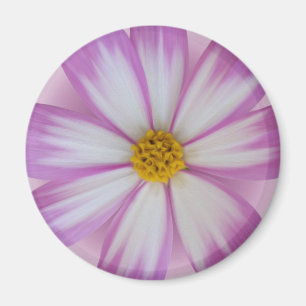 Lila Blume Magnet