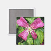 Lila Blume Magnet (Vorderseite/Rückseite)