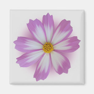 Lila Blume Magnet