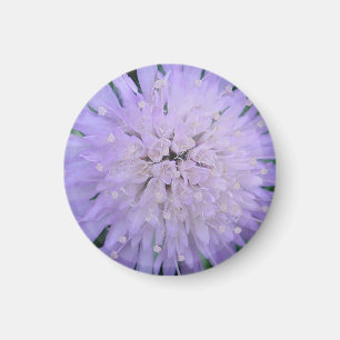 Lila Blume Magnet