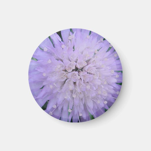 Lila Blume Magnet (Vorne)