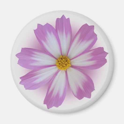 Lila Blume Magnet (Vorne)