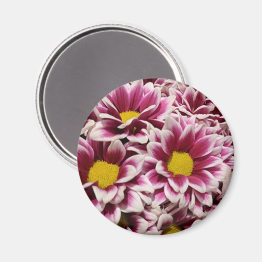 Lila Blume Magnet (Vorderseite/Rückseite)