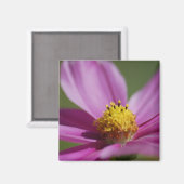 Lila Blume Magnet (Vorderseite/Rückseite)
