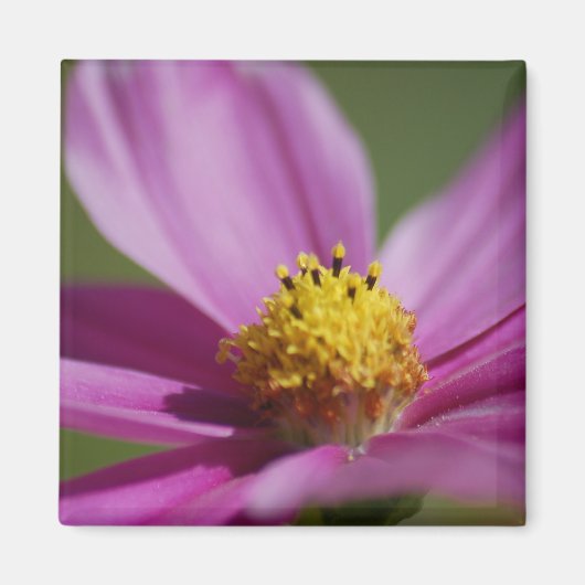 Lila Blume Magnet (Vorne)