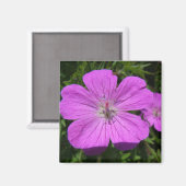 lila Blume Magnet (Vorderseite/Rückseite)