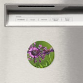 lila Blume-Magnet Magnet (In Situ (Geschirrspüler))
