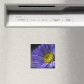 lila Blume-Magnet Magnet (In Situ (Geschirrspüler))