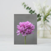 lila Blume mit Ameise Postkarte (Stehend Vorderseite)