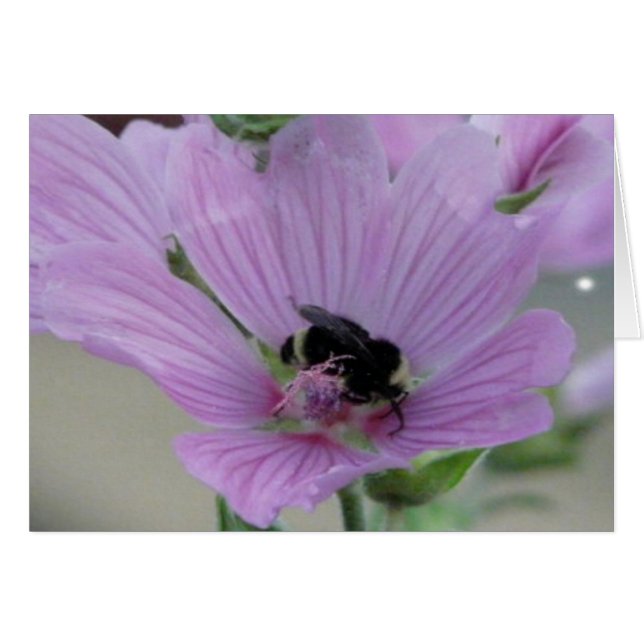 Lila Blume mit Bienenkarte (Vorderseite (Horizontal))