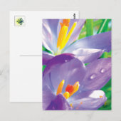 Lila Blume mit edler Eleganz Postkarte (Vorne/Hinten)