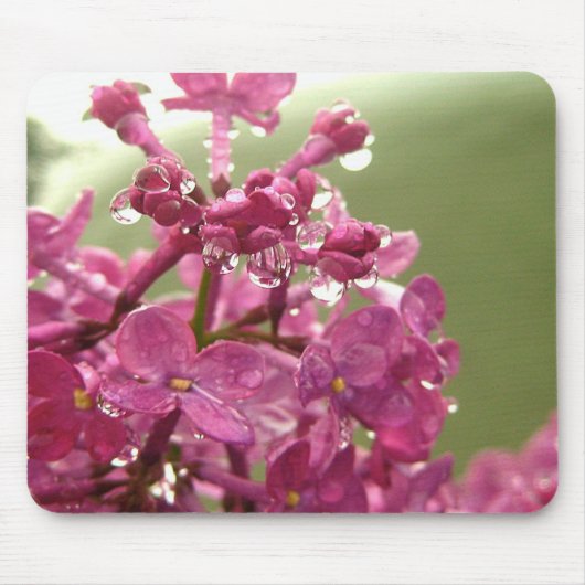 Lila Blume mit Raindrops Mouse Pad Mousepad (Vorne)