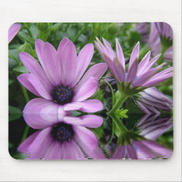 lila Blume Mousepad