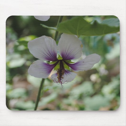 Lila Blume Mousepad (Vorne)