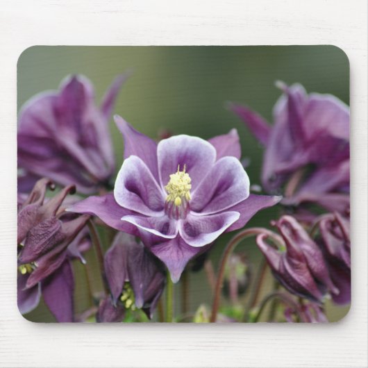 Lila Blume Mousepad (Vorne)