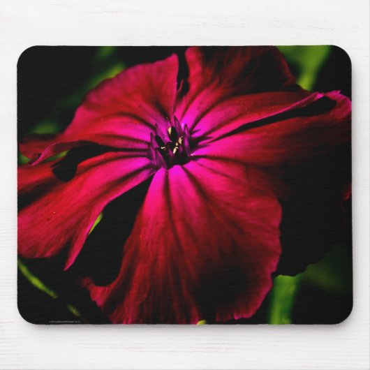 Lila Blume mpcna Mousepad (Vorne)