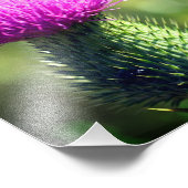 Lila Blume Nah 8x8 Fotodruck (Ecke)