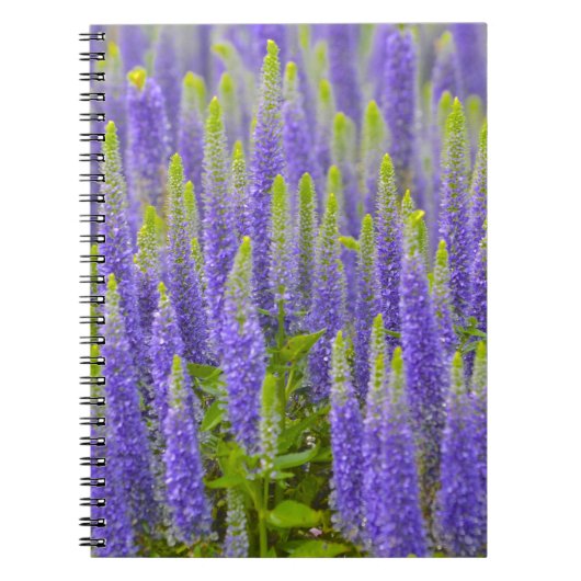 Lila Blume-Notebook Notizblock (Vorderseite)