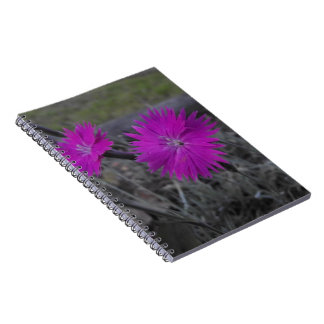 lila Blume Notizblock
