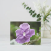 Lila Blume Nr. 3 Postkarte (Stehend Vorderseite)