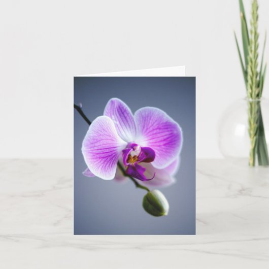 Lila Blume, ORCHID und Bud on Stem Note Card Karte (Vorderseite)