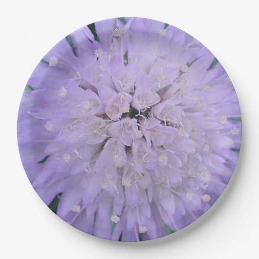 Lila Blume Pappteller (Vorderseite)