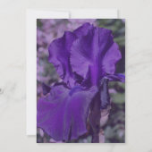 Lila Blume-Party Einladung (Rückseite)