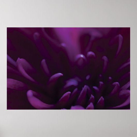 Lila Blume Poster (Vorne)