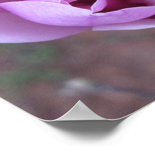 Lila Blume Poster (Ecke)