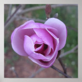 Lila Blume Poster (Vorne)