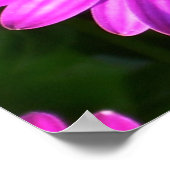 Lila Blume Poster (Ecke)