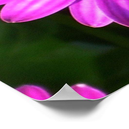 Lila Blume Poster (Ecke)