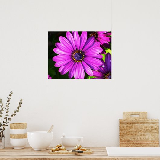 Lila Blume Poster (Küche)
