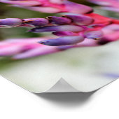 Lila Blume Poster (Ecke)