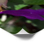 Lila Blume Poster (Ecke)