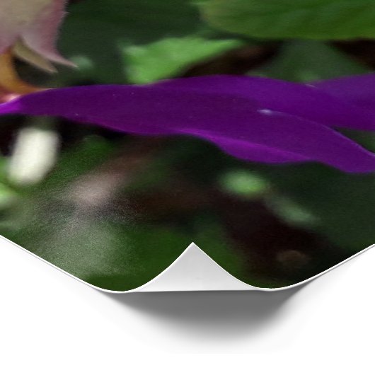 Lila Blume Poster (Ecke)