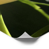 Lila Blume Poster (Ecke)