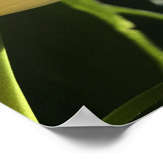 Lila Blume Poster (Ecke)