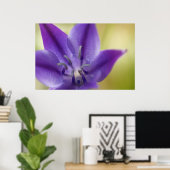 Lila Blume Poster (Heimbüro)