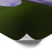 Lila Blume Poster (Ecke)