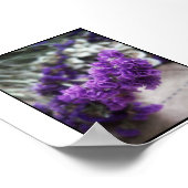 Lila Blume Poster (Ecke)