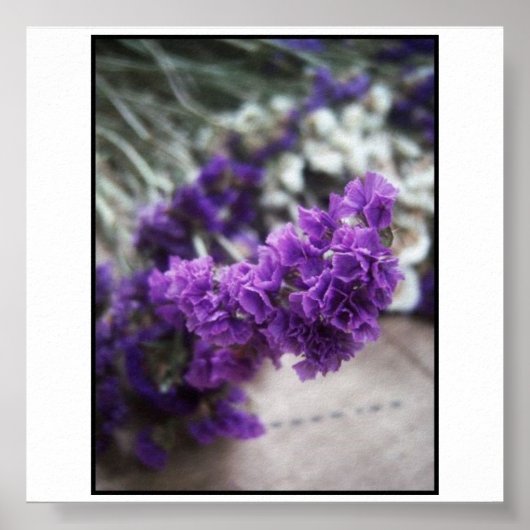 Lila Blume Poster (Vorne)